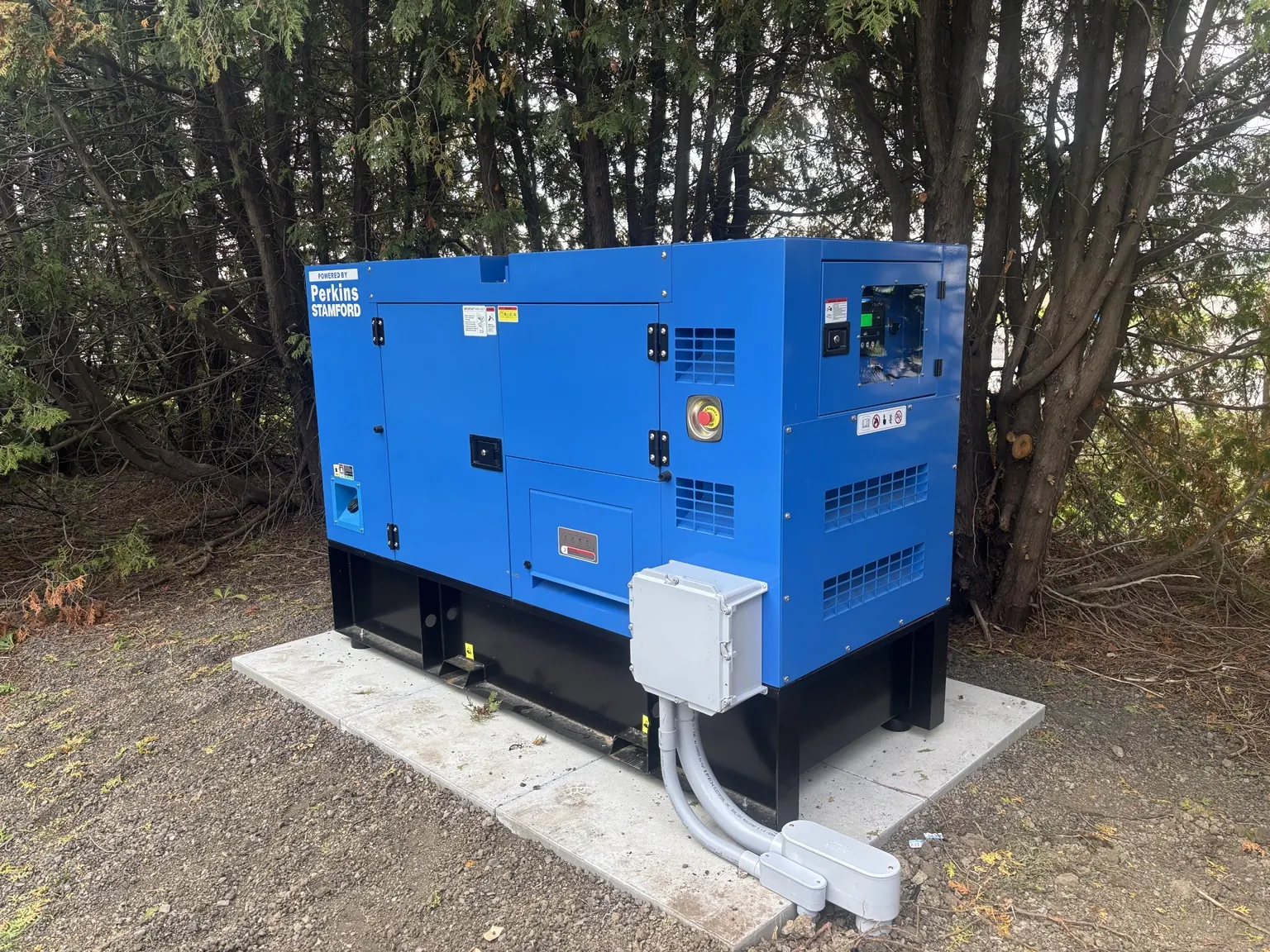 Blue diesel generator installed on an outdoor base